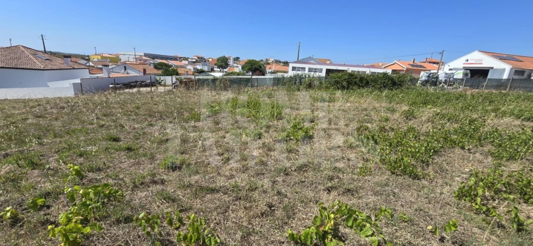 Terreno para Venda em São Pedro da Cadeira Foto 15