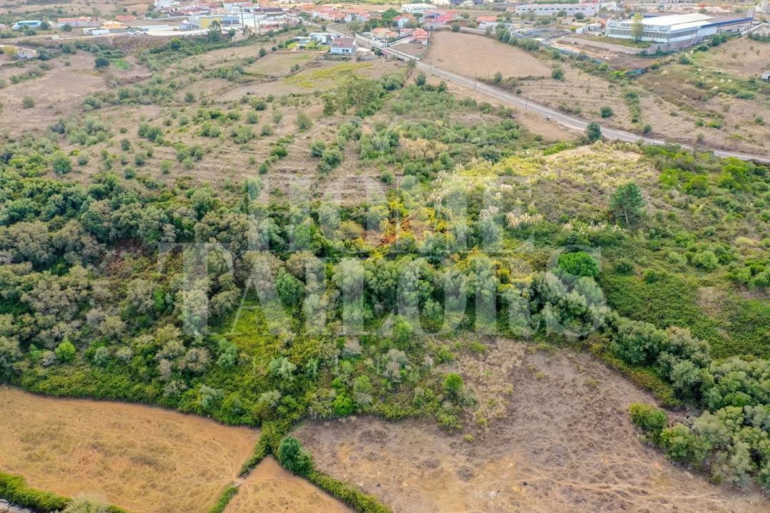Terreno para Venda em Venda do Pinheiro e Santo Estêvão das Galés Foto 4