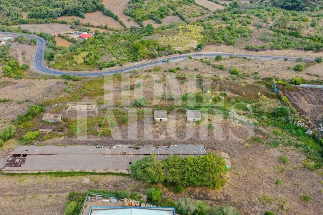 Terreno para Venda em Venda do Pinheiro e Santo Estêvão das Galés Foto 12