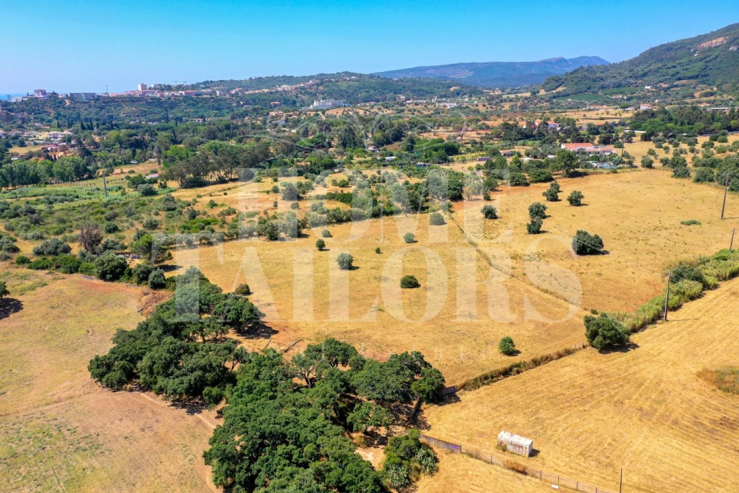 Terreno para Venda em União das Freguesias de Setúbal Foto 6