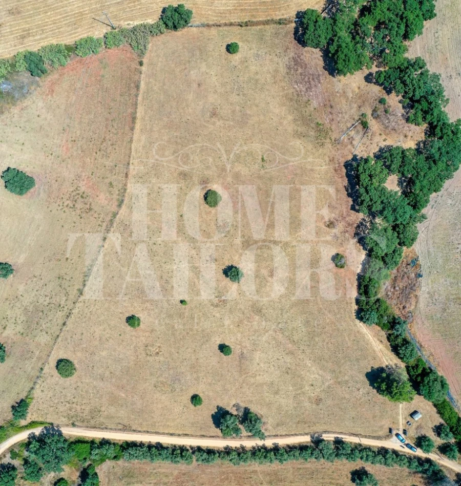 Terreno para Venda em União das Freguesias de Setúbal Foto 7