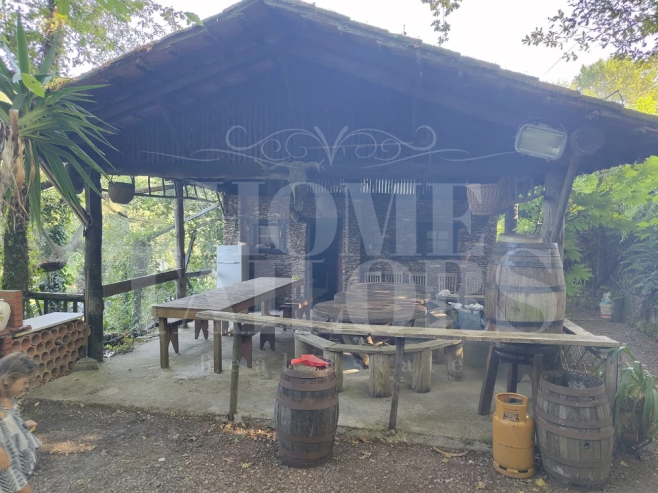 Terreno para Venda em Pinheiro da Bemposta, Travanca e Palmaz Foto 3