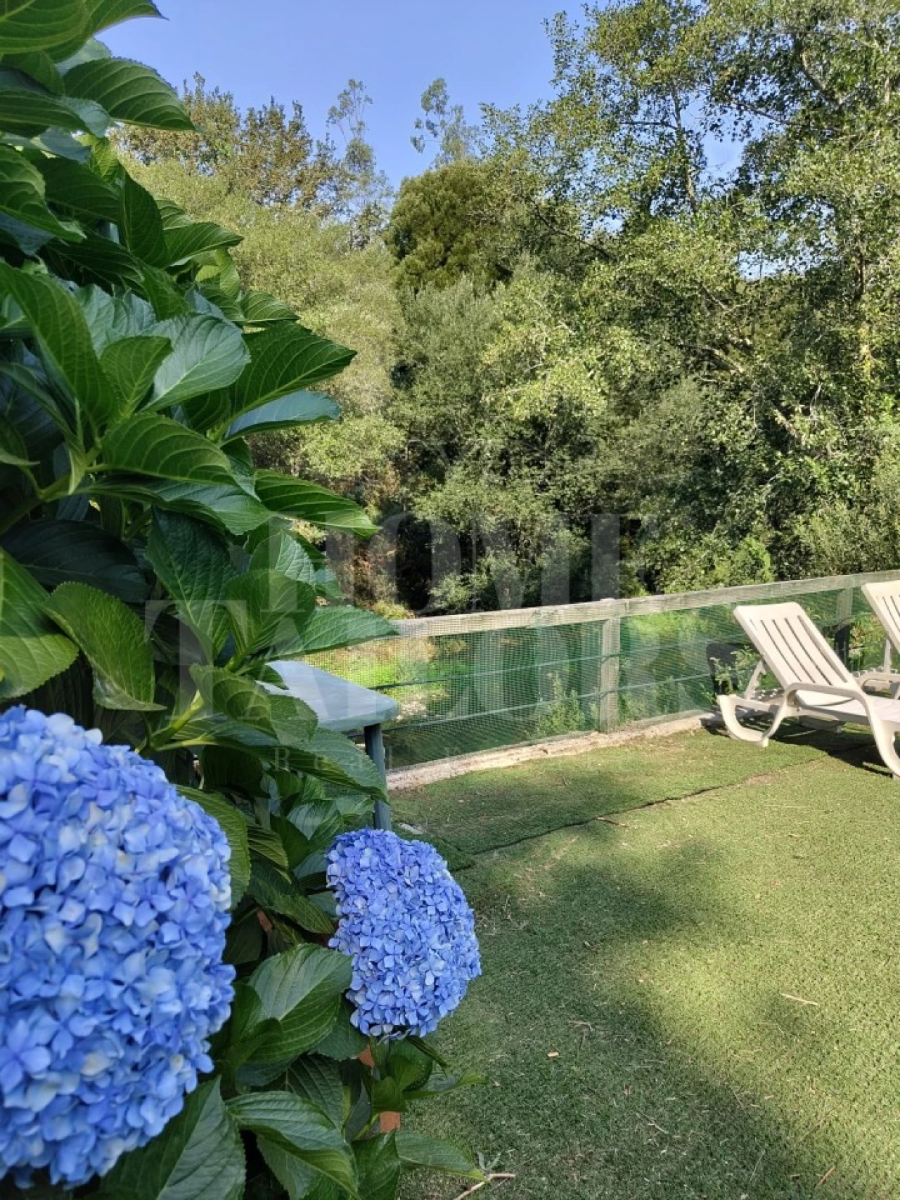 Terreno para Venda em Pinheiro da Bemposta, Travanca e Palmaz Foto 15