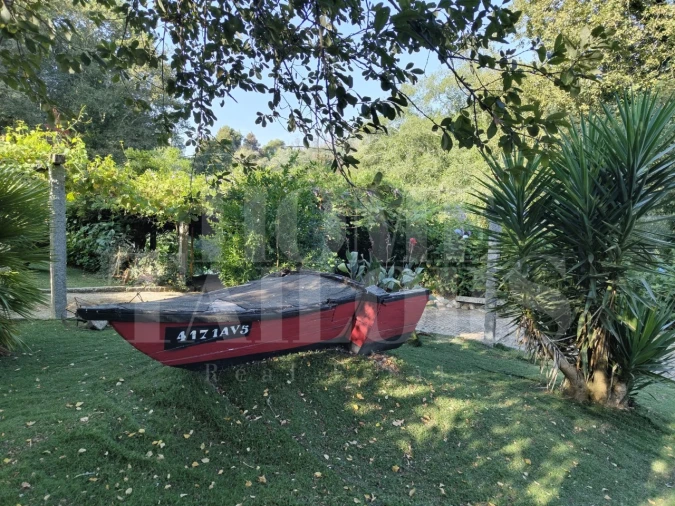 Terreno para Venda em Pinheiro da Bemposta, Travanca e Palmaz Foto 4