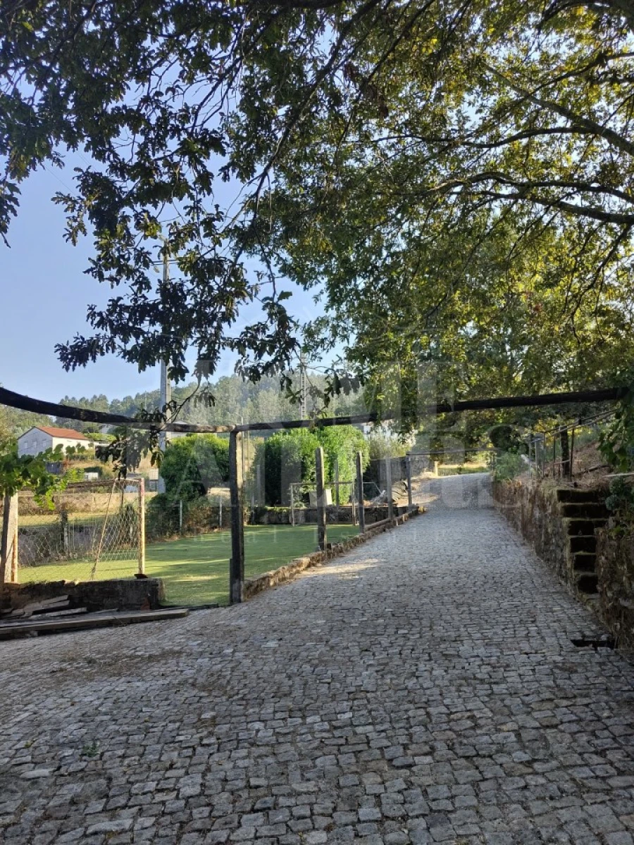 Terreno para Venda em Pinheiro da Bemposta, Travanca e Palmaz Foto 6