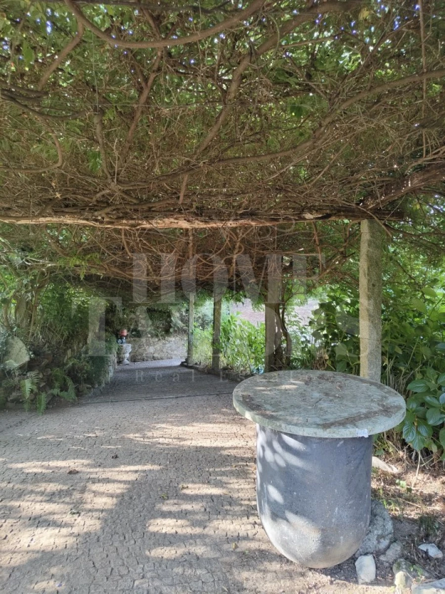 Terreno para Venda em Pinheiro da Bemposta, Travanca e Palmaz Foto 12