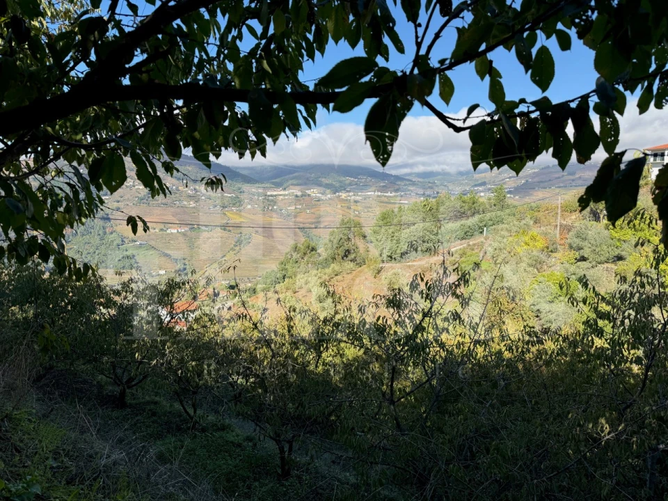 Terreno para Venda em Barro Foto 3