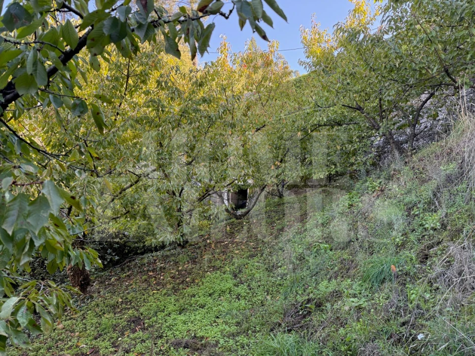 Terreno para Venda em Barro Foto 5
