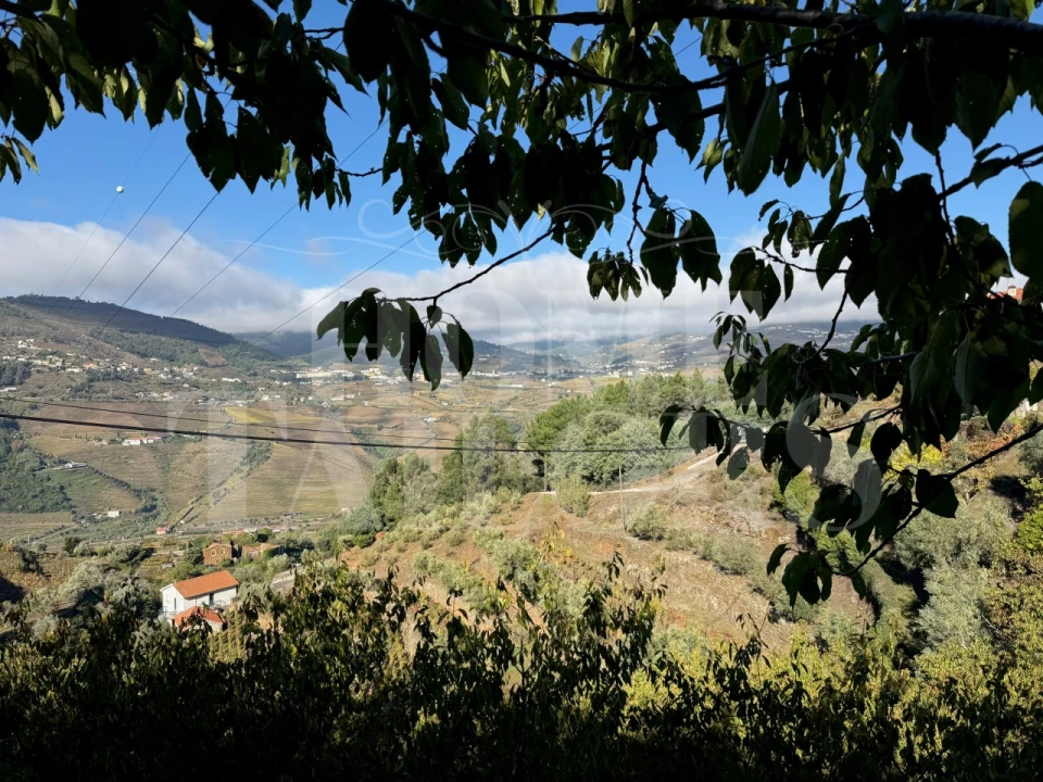 Terreno para Venda em Barro Foto 6
