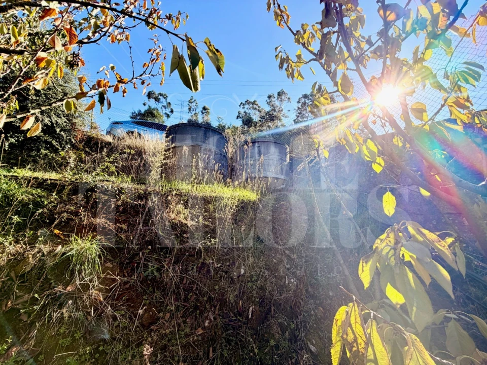 Terreno para Venda em Barro Foto 10