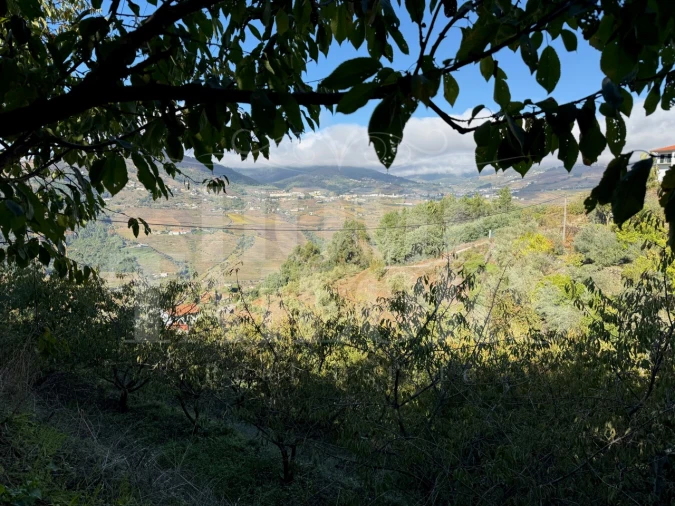 Terreno para Venda em Barro Foto 3