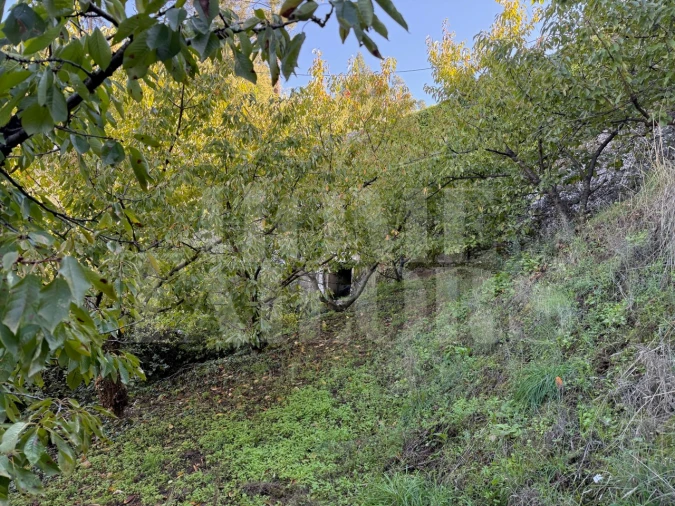 Terreno para Venda em Barro Foto 5