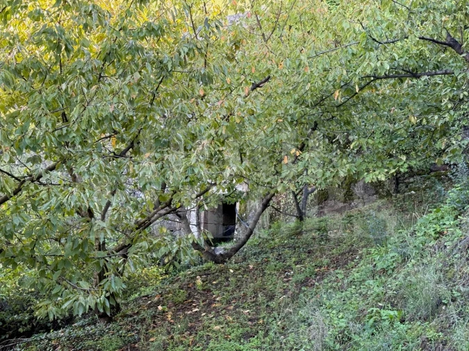 Terreno para Venda em Barro Foto 8