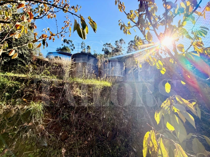 Terreno para Venda em Barro Foto 10