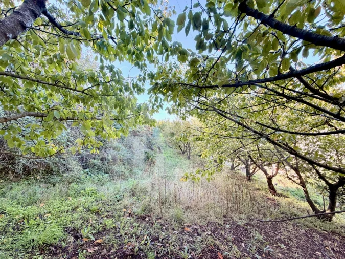 Terreno para Venda em Barro Foto 21