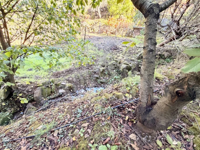 Terreno para Venda em Barro Foto 22