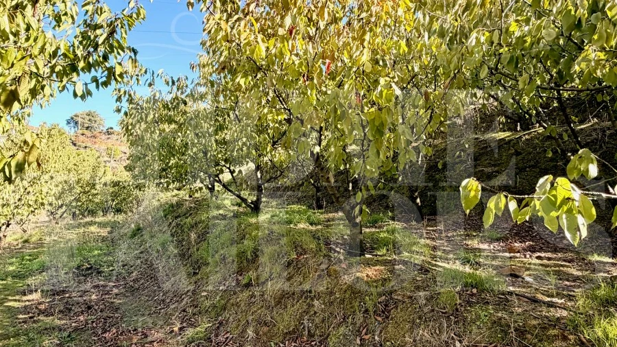 Terreno para Venda em Barro