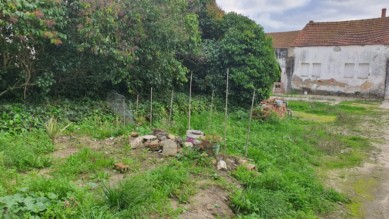 Terreno para Venda em Montijo e Afonsoeiro Foto 12
