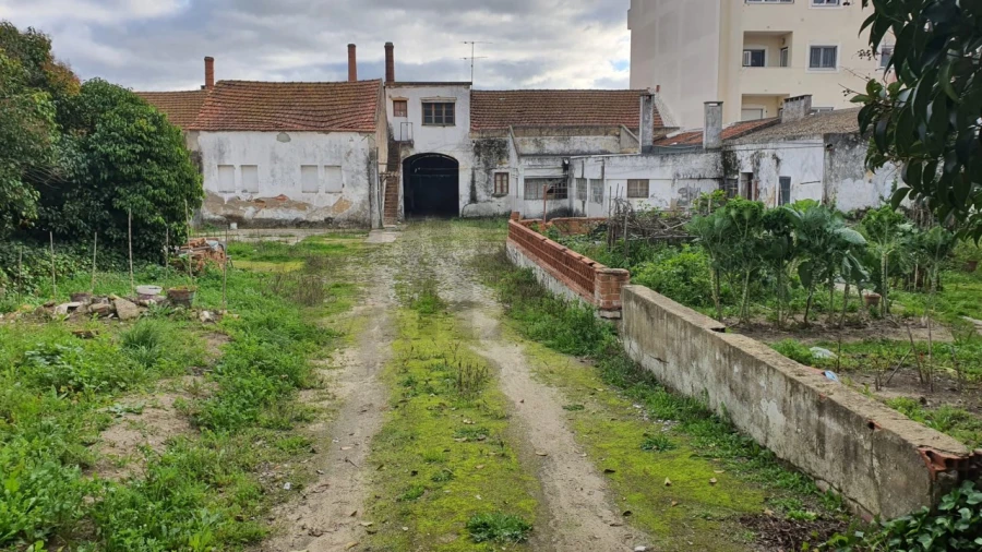 Terreno para Venda em Montijo e Afonsoeiro Foto 17