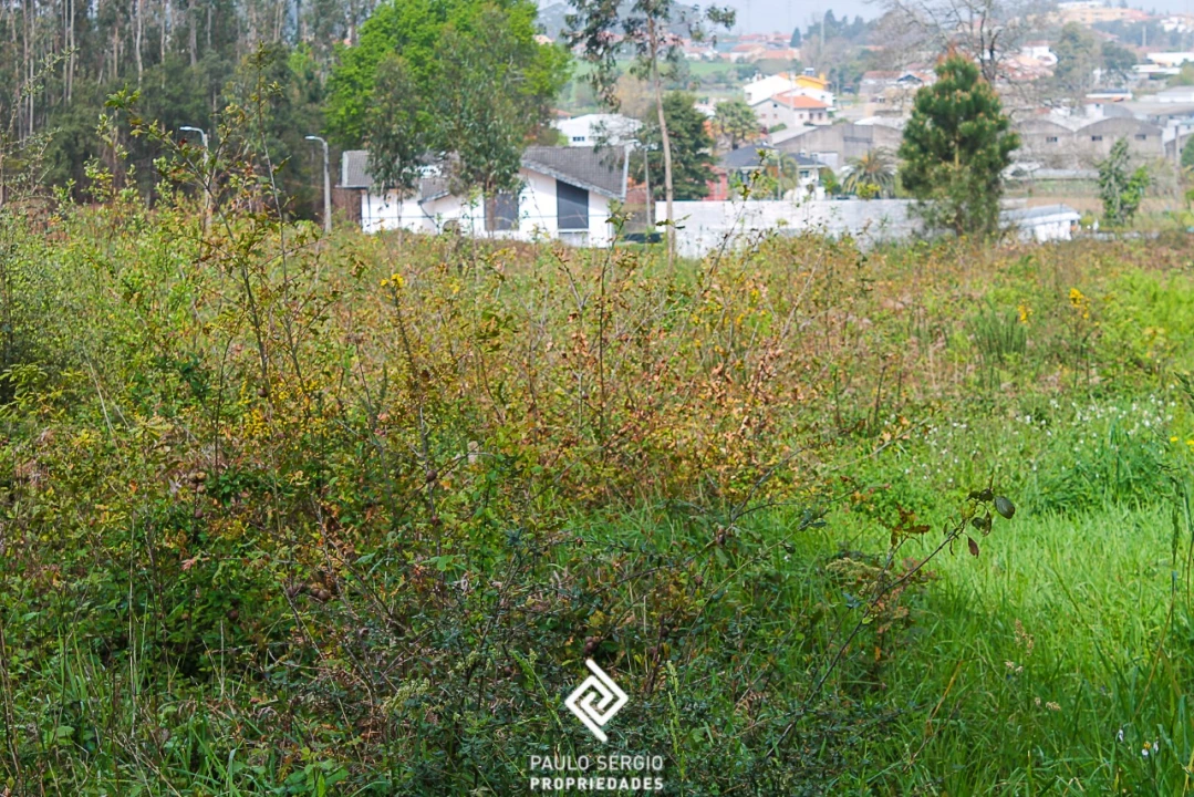 Terreno para Venda em Argoncilhe Foto 15