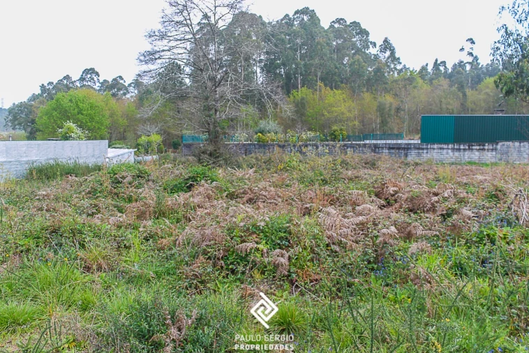 Terreno para Venda em Argoncilhe Foto 9