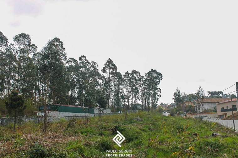 Terreno para Venda em Argoncilhe Foto 12