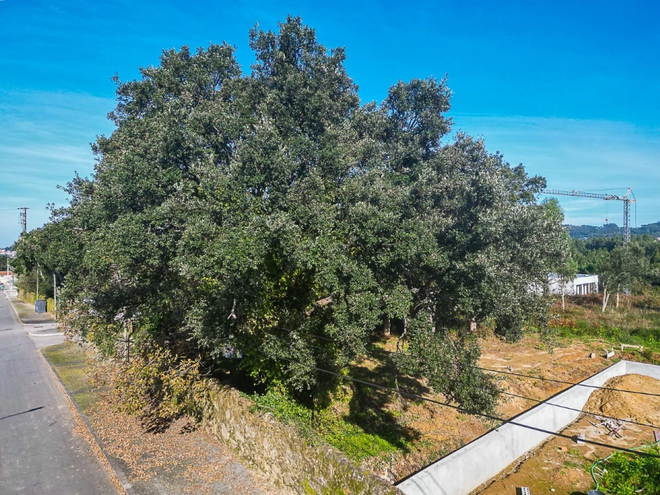 Terreno para Venda em Serzedo e Perosinho Foto 14