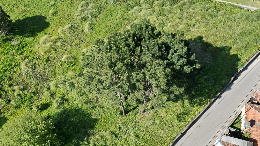 Terreno para Venda em São Felix da Marinha