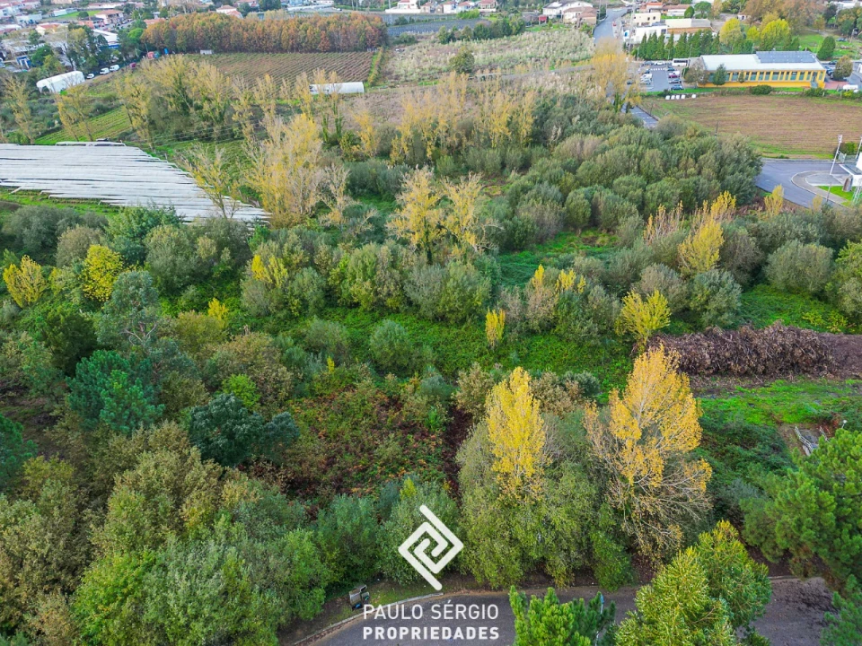 Terreno para Venda em Pedroso e Seixezelo Foto 4