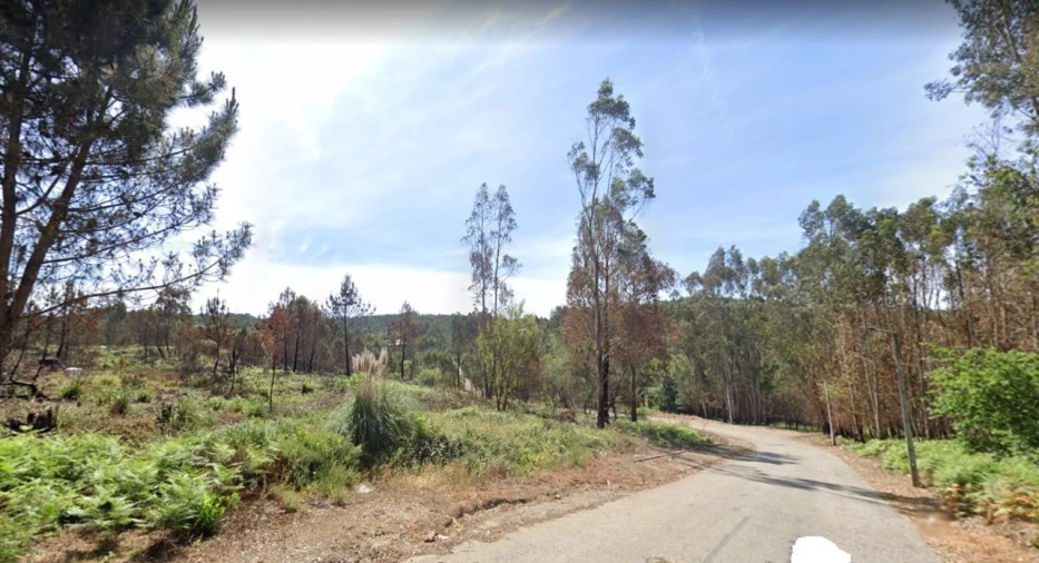 Terreno para Venda em Sandim, Olival, Lever e Crestuma Foto 1