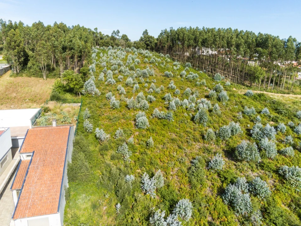 Terreno para Venda em Nogueira da Regedoura Foto 4