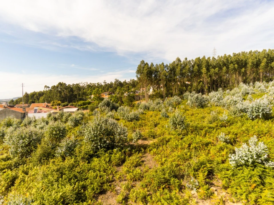 Terreno para Venda em Nogueira da Regedoura Foto 6