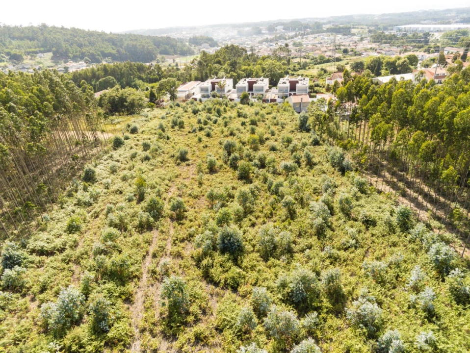 Terreno para Venda em Nogueira da Regedoura Foto 9