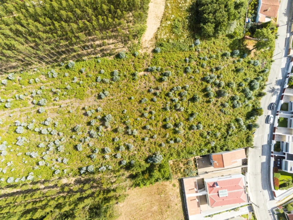 Terreno para Venda em Nogueira da Regedoura Foto 10
