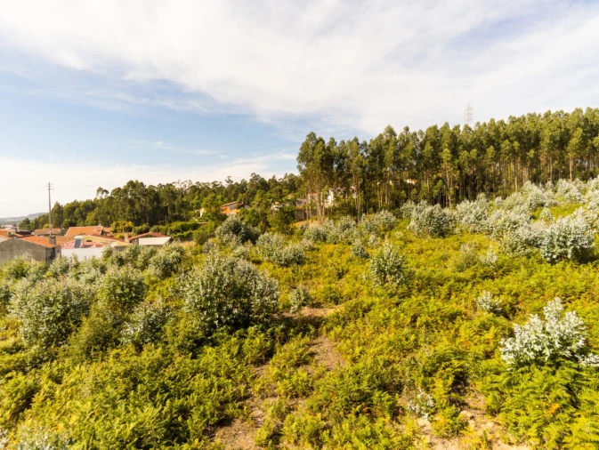 Terreno para Venda em Nogueira da Regedoura Foto 6