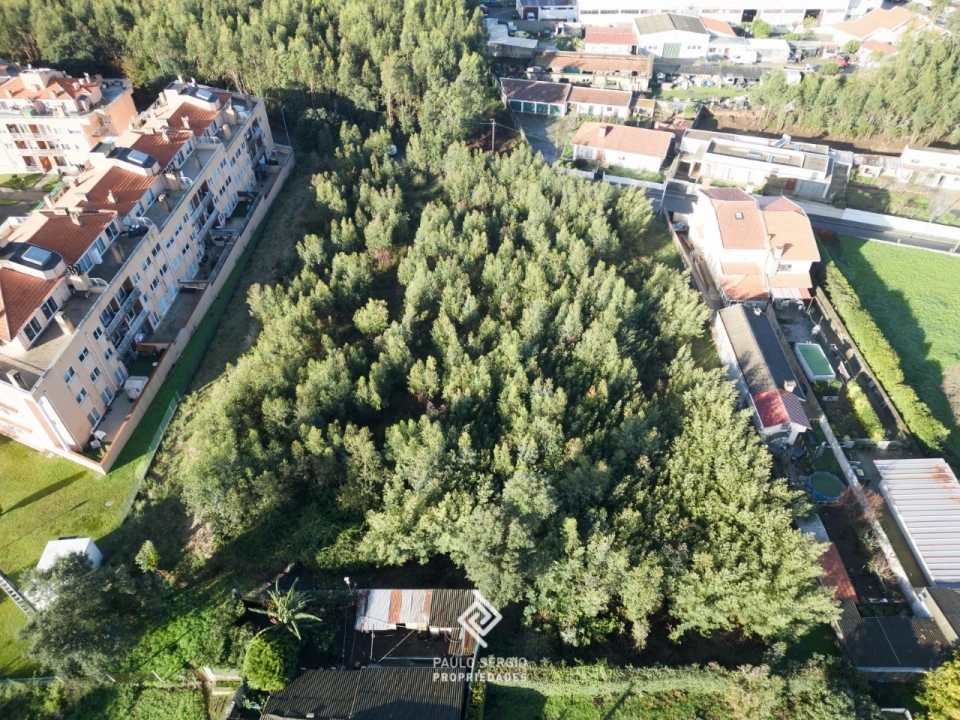 Terreno para Venda em Canelas Foto 3