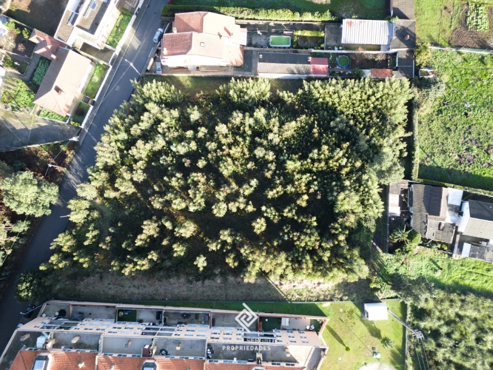 Terreno para Venda em Canelas Foto 4