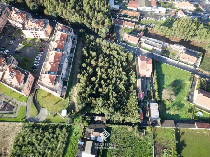 Terreno para Venda em Canelas Foto 6