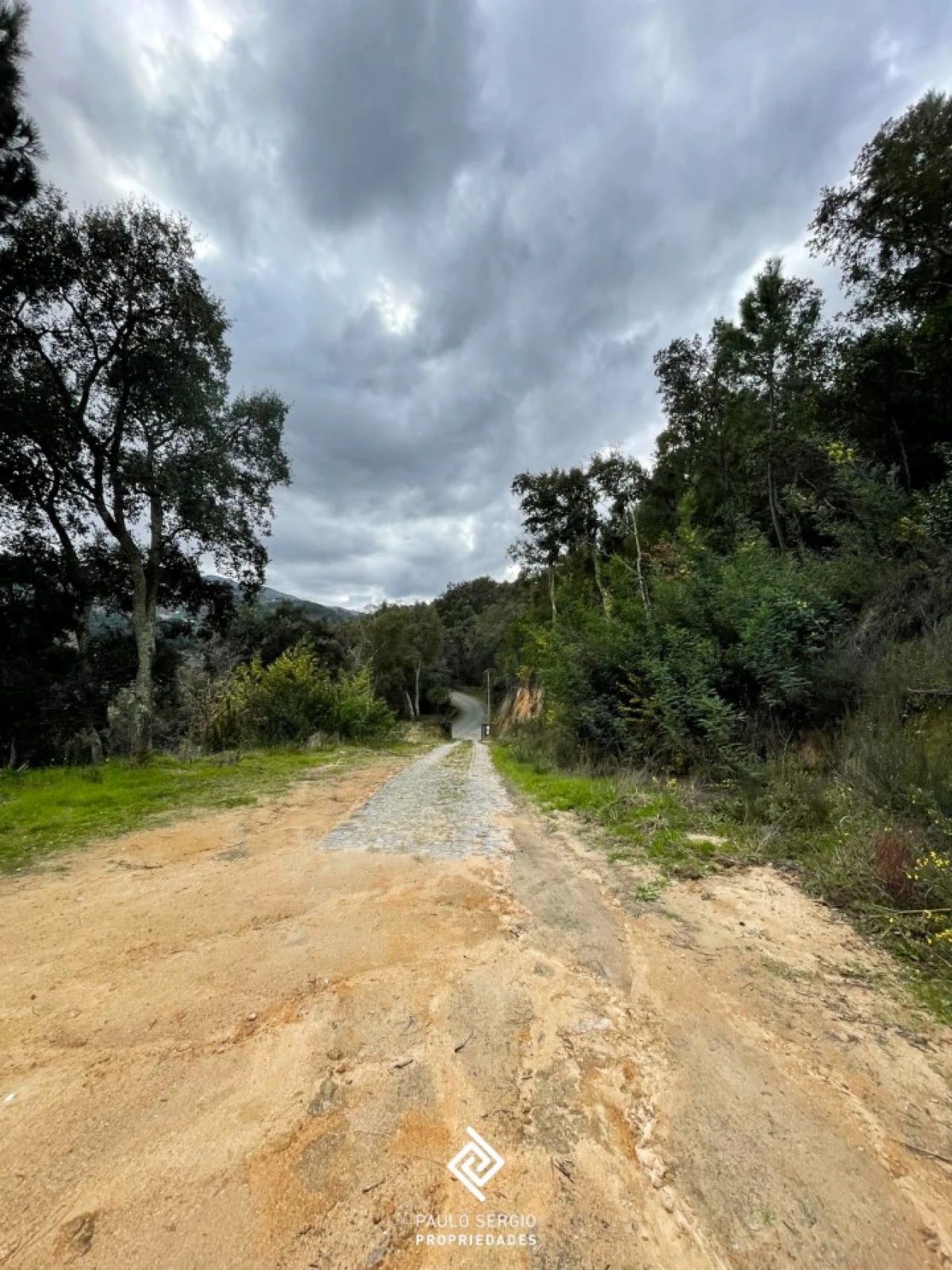 Terreno para Venda em Penhalonga e Paços de Gaiolo Foto 11