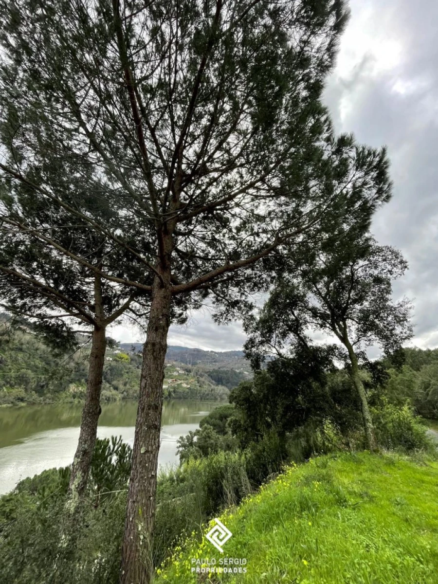Terreno para Venda em Penhalonga e Paços de Gaiolo Foto 9