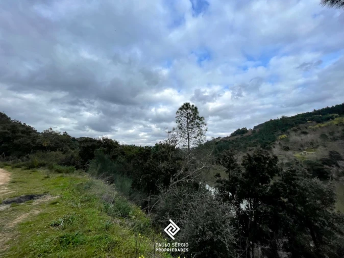 Terreno para Venda em Penhalonga e Paços de Gaiolo Foto 10