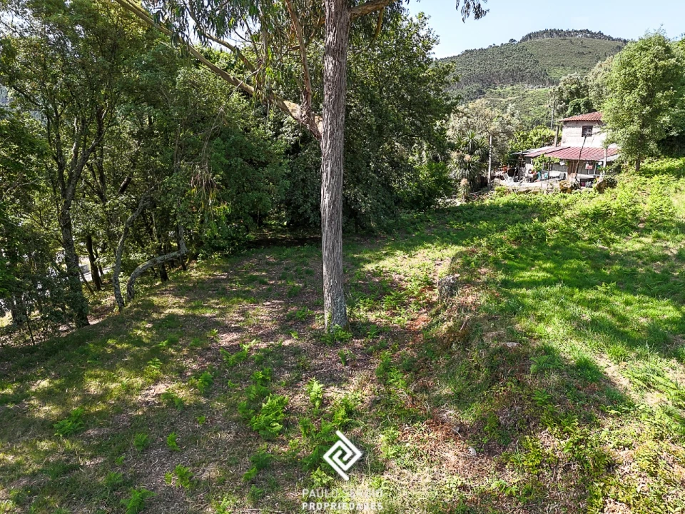 Terreno para Venda em Lanhoso Foto 7