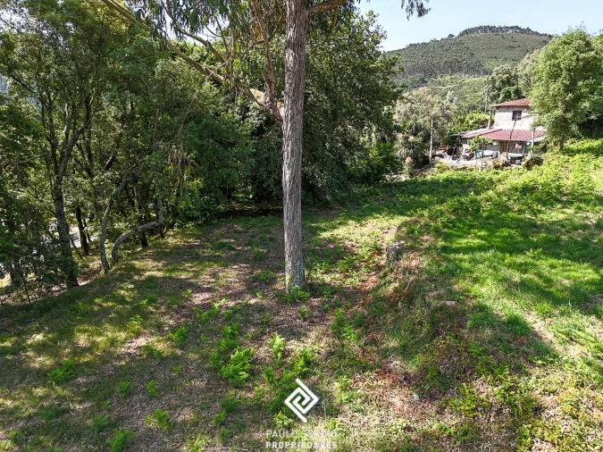 Terreno para Venda em Lanhoso Foto 7