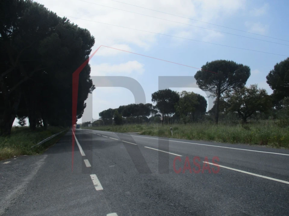 Terreno para Venda em Montijo e Afonsoeiro Foto 2