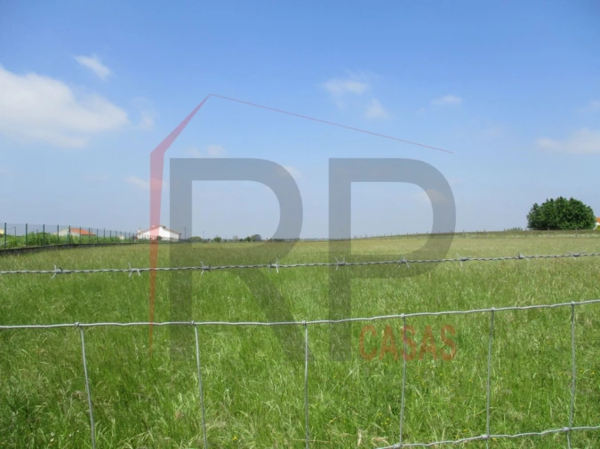 Terreno para Venda em Poceirão e Marateca Foto 2