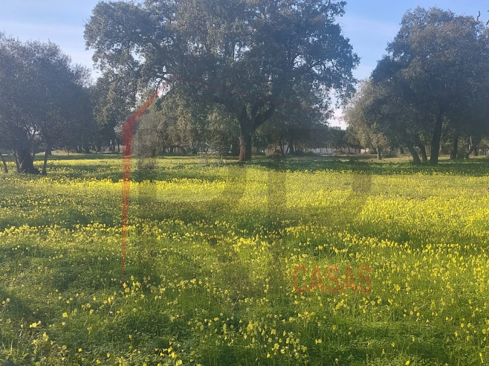 Terreno para Venda em Palmela Foto 1