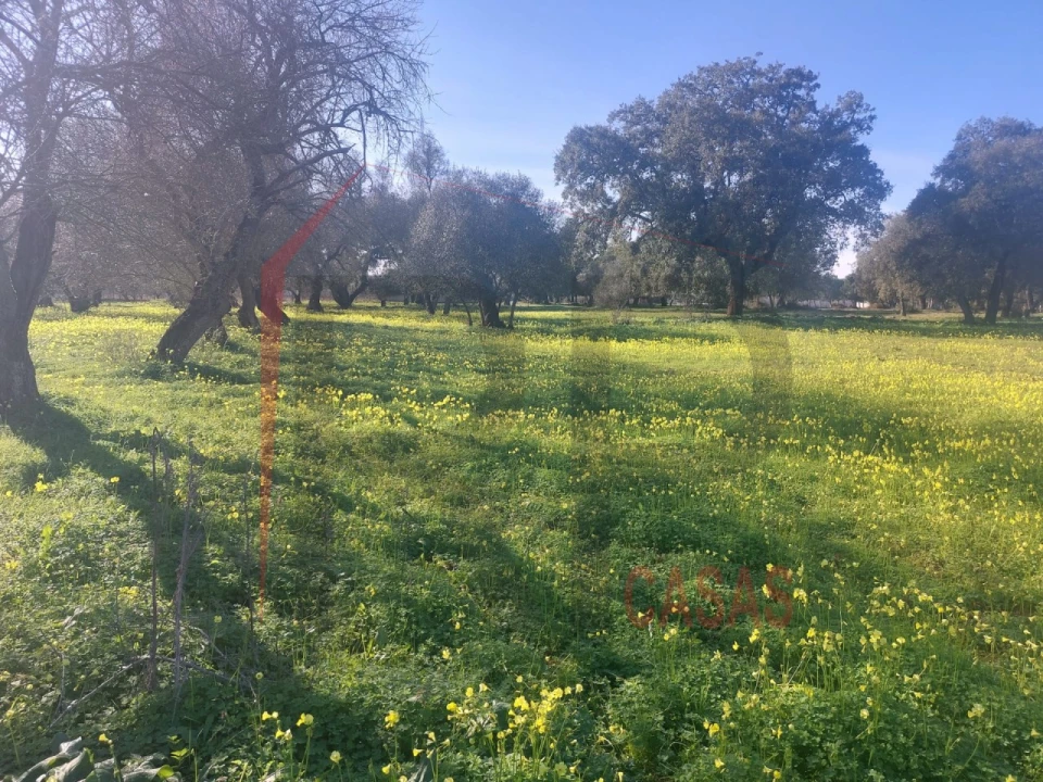 Terreno para Venda em Palmela Foto 3