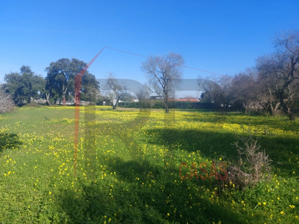 Terreno para Venda em Palmela Foto 4