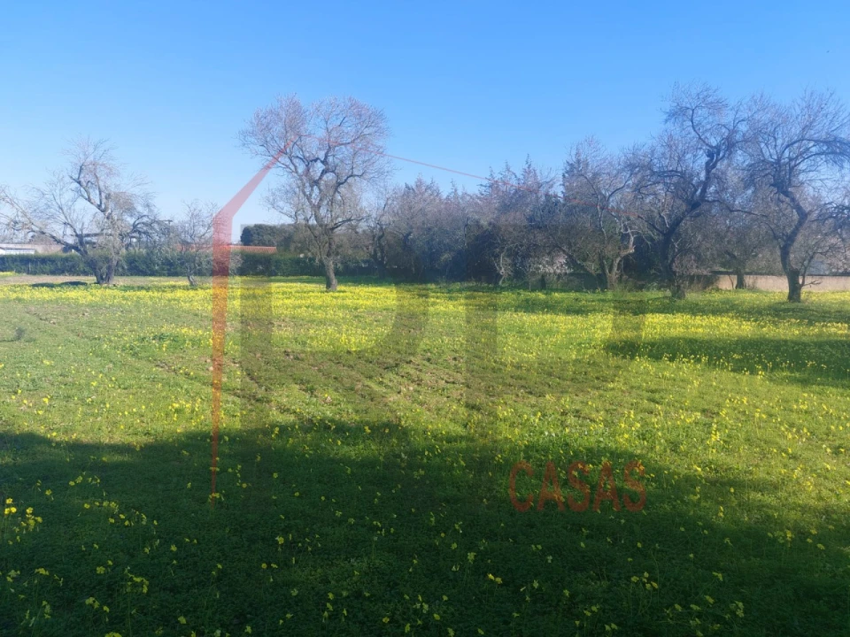 Terreno para Venda em Palmela Foto 5