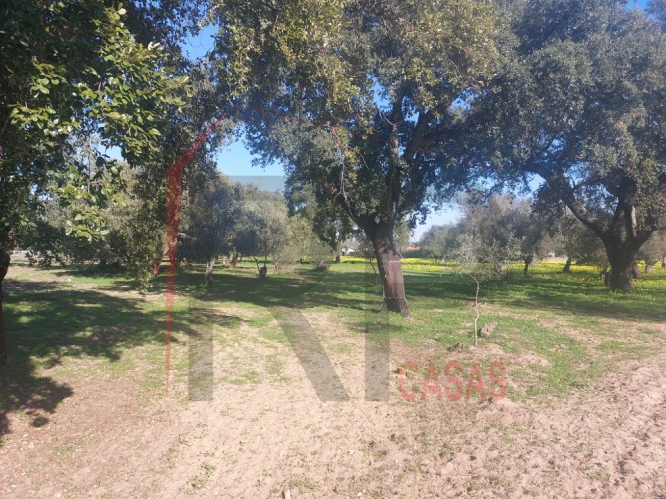 Terreno para Venda em Palmela Foto 9